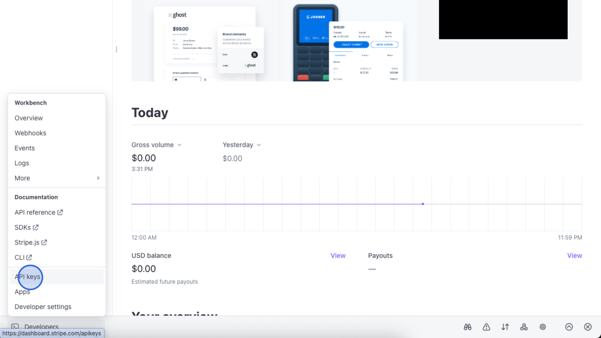 Stripe Developers page showing API keys