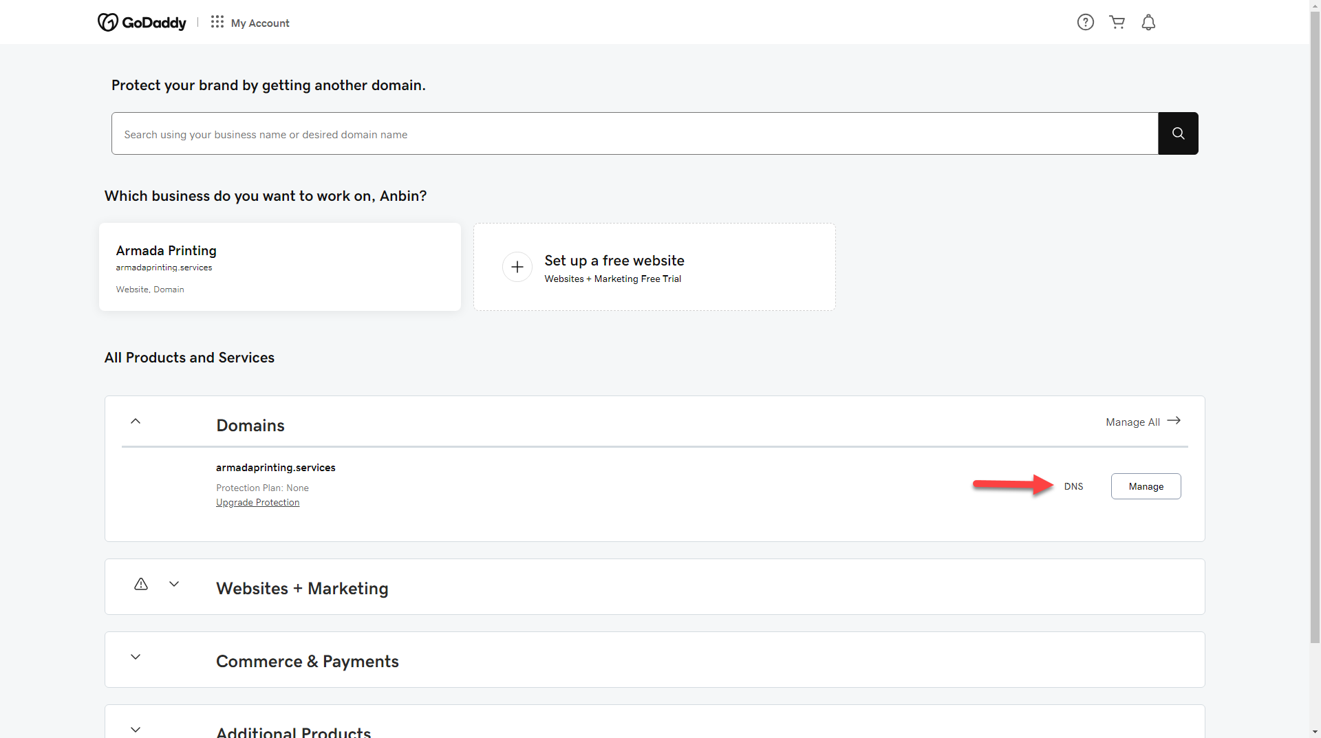 Open the domain's DNS settings