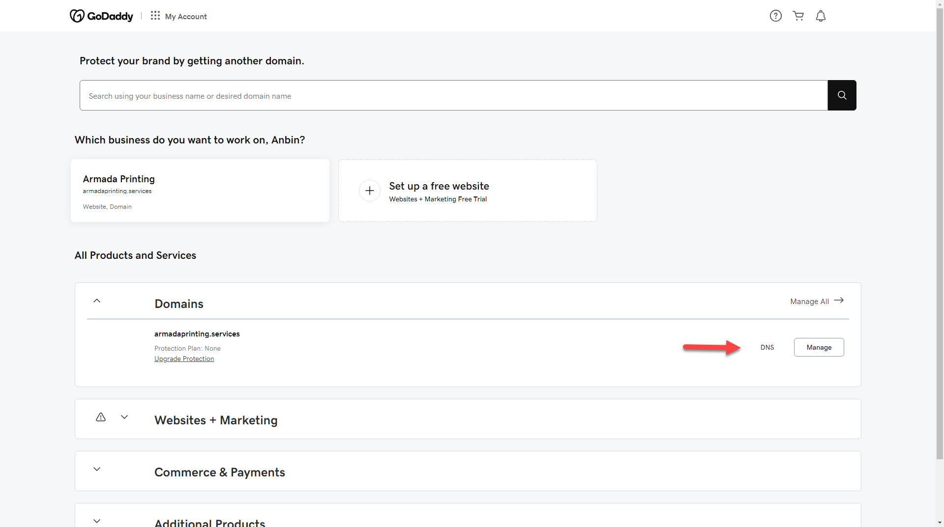 Open the domain's DNS settings