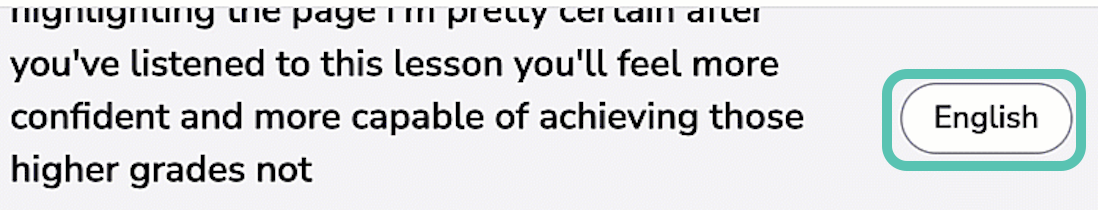 image highlights the language icon