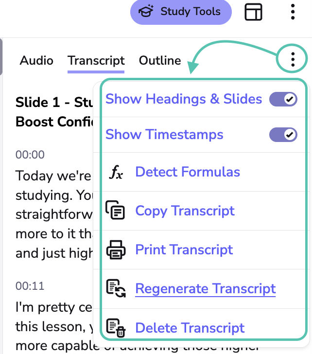 image highlights transcription options drop down menu