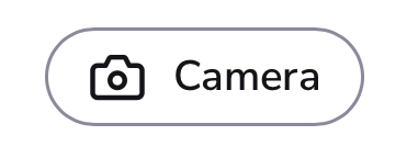 Camera button