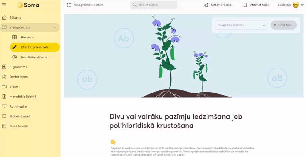 Viedstundas Soma Atbalsts