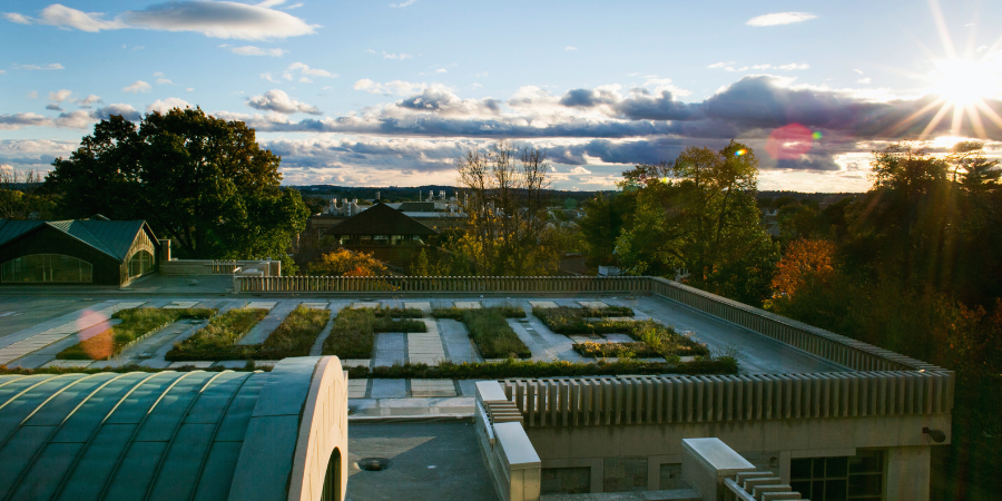 Roof of building with 