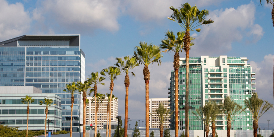 palm trees and buildings in Irvine