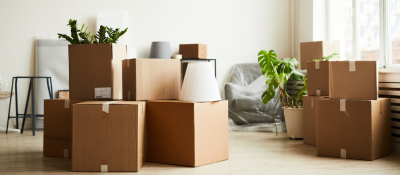 Stacks of moving boxes sitting around an empty apartment.