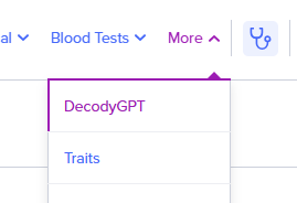 DecodyGPT in navigation