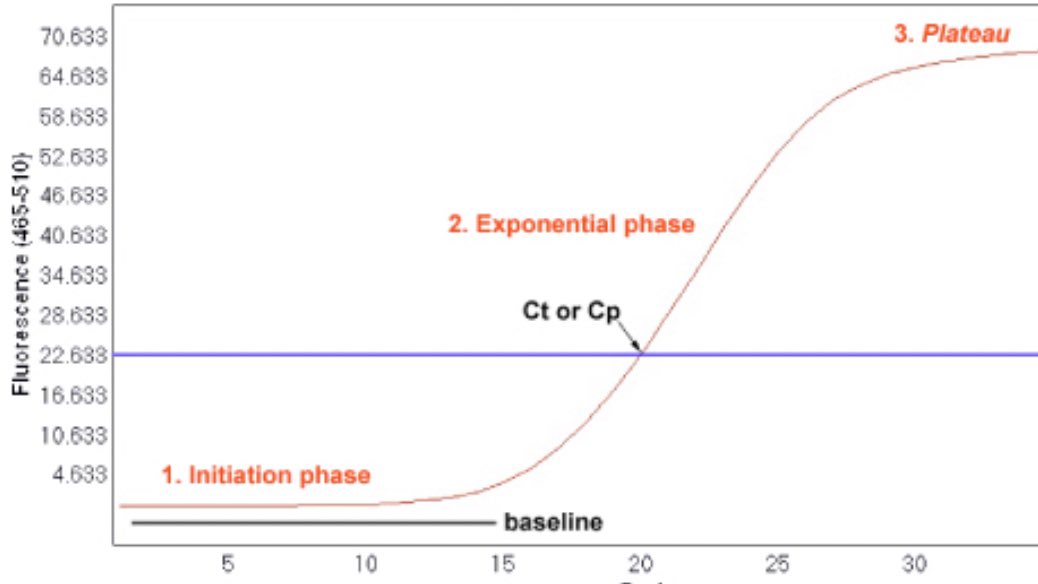 How Does A Covid 19 Pcr Test Work Lifespan Knowledge Base