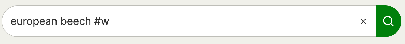 Image d'un exemple d'utilisation du raccourci #w à la fin du terme de recherche