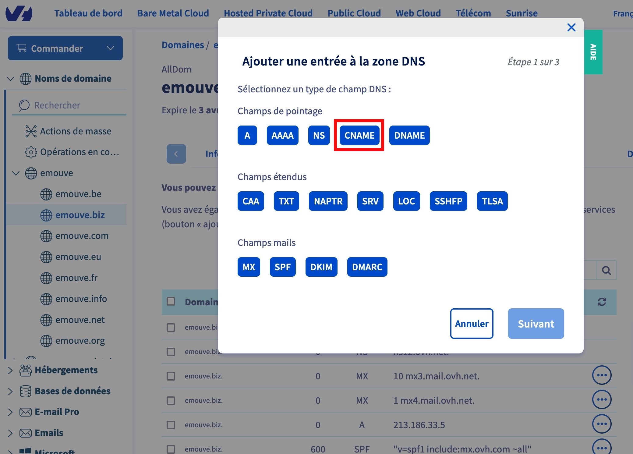 « Ajouter une entrée à la zone DNS » : le type « CNAME », dans les champs de pointage.