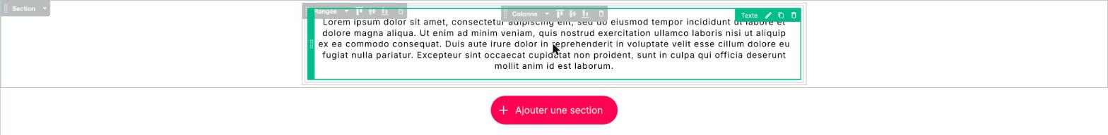 Les étiquettes Section, Rangée, Colonne et Texte.