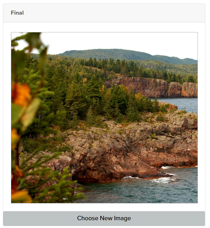 Image appears under Final heading. Choose New Image button displays.