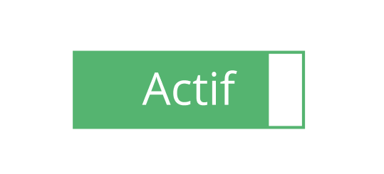 Code actif