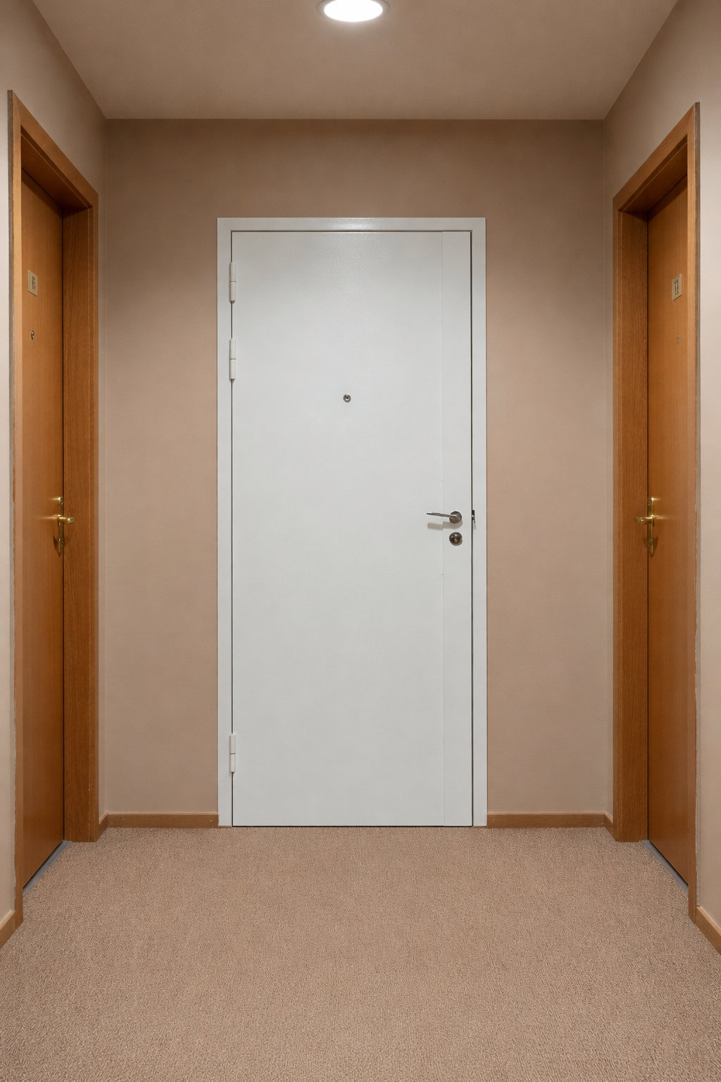 porte blindée copropriété