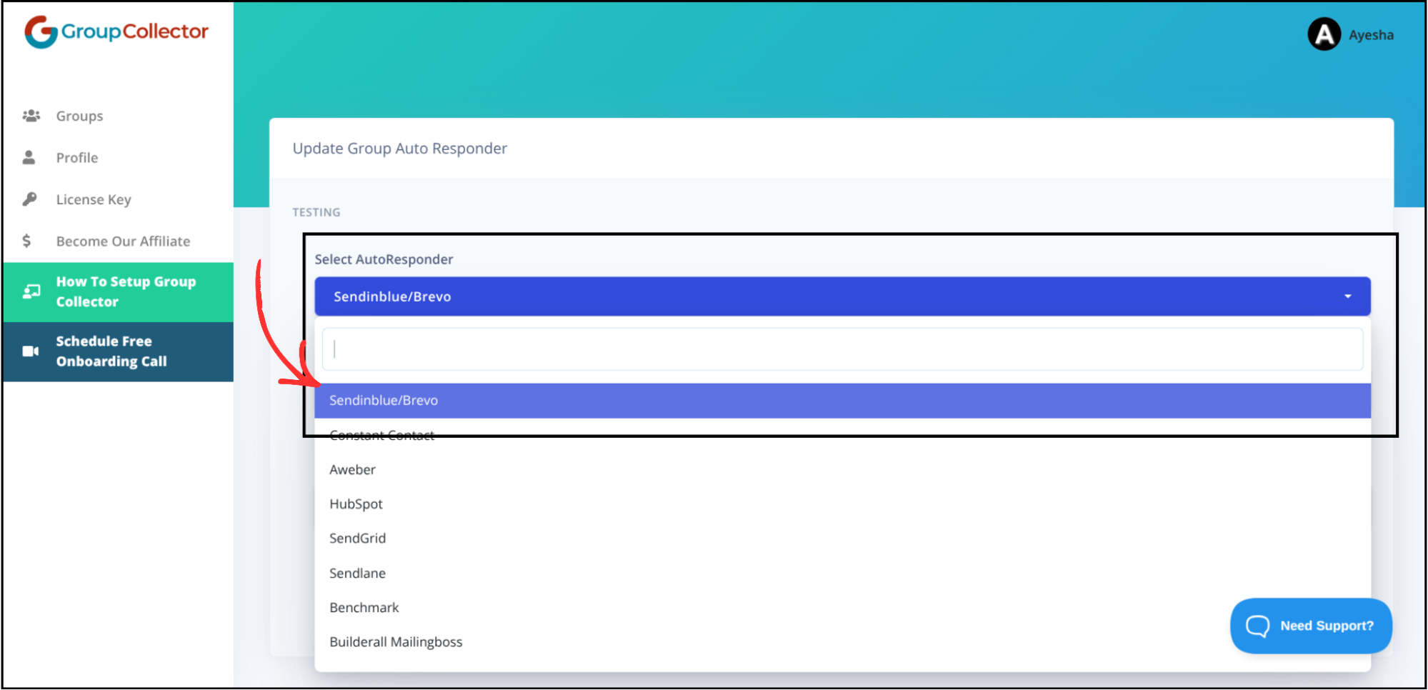 Group Collector autoresponder dropdown menu with Sendinblue/Brevo option highlighted