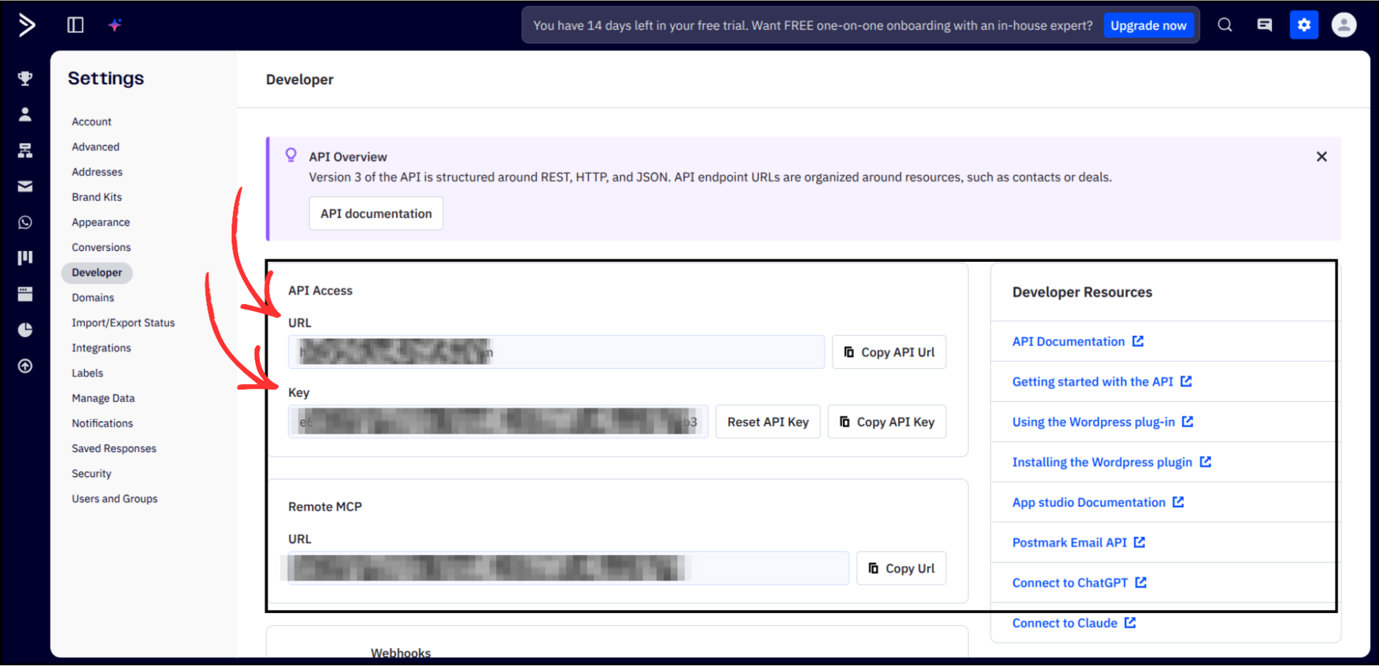 ActiveCampaign Developer settings page showing API Access section with URL and Key fields highlighted