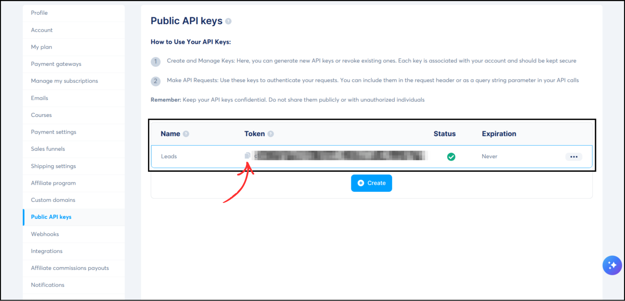 Systeme.io Public API keys page showing created API key with token value highlighted