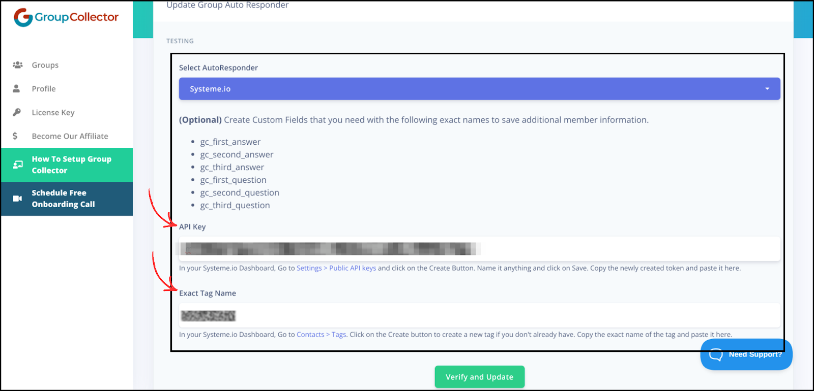 Group Collector Systeme.io configuration form showing API Key and Exact Tag Name fields