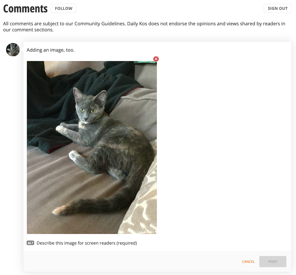 Daily Kos Comment Editor, with image file added, displaying required Alt Text field