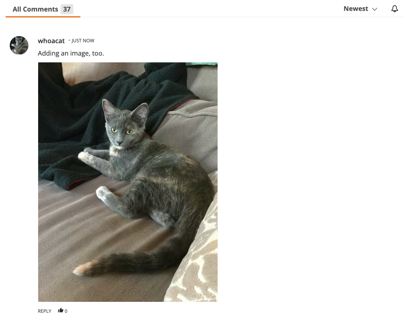 Daily Kos comment with image, published state