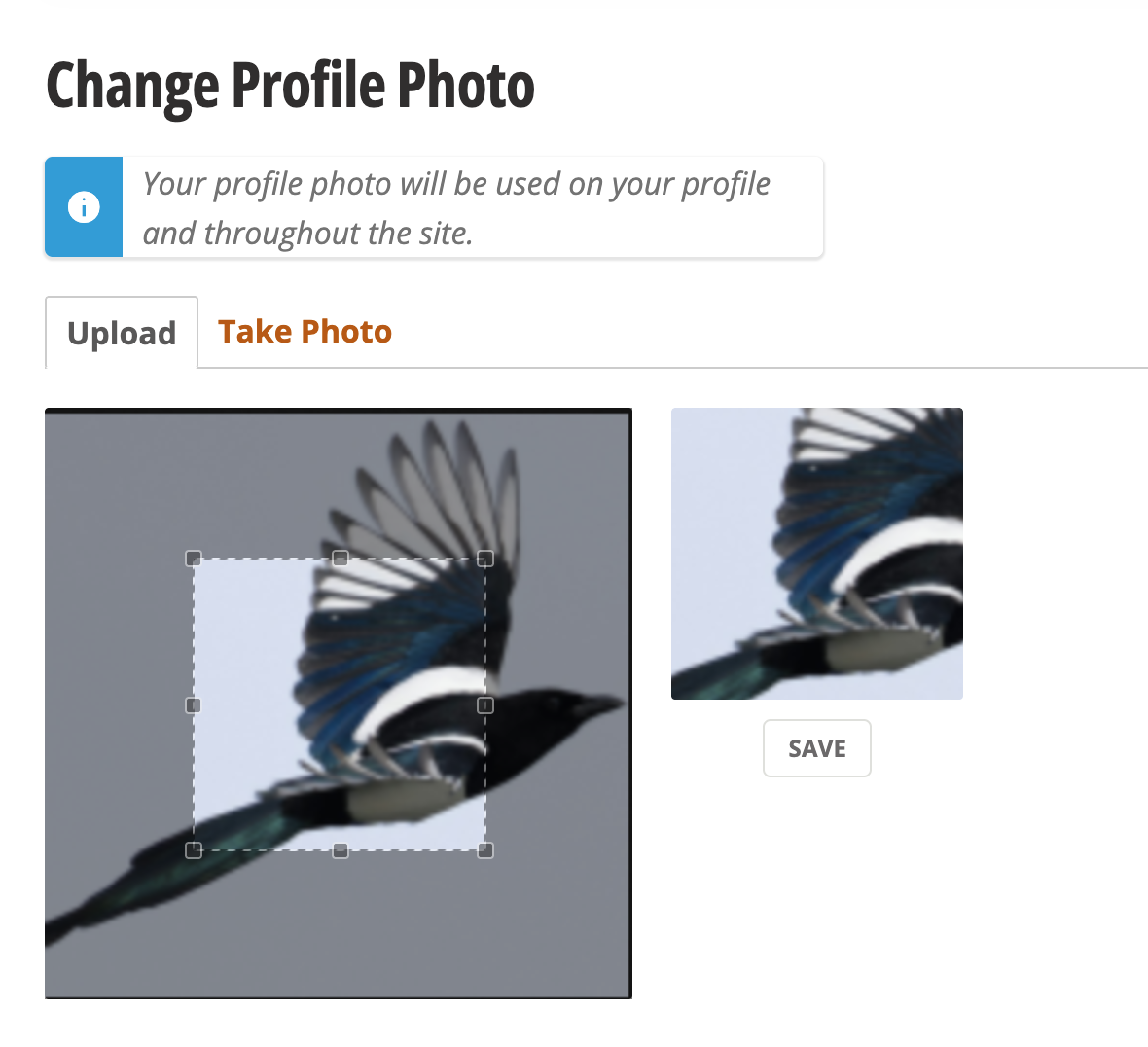 Daily Kos Profile, Change Profile Photo page