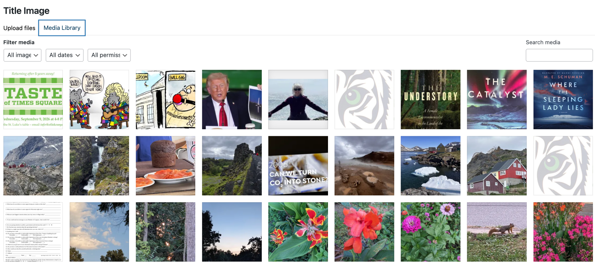Media Library display shows the filtering options available to select a Title Image along with three rows of the most recently-uploaded images to the site's storage.