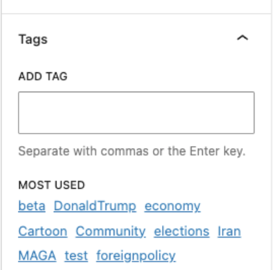 Display of the Tags field available for entering (optional) tags