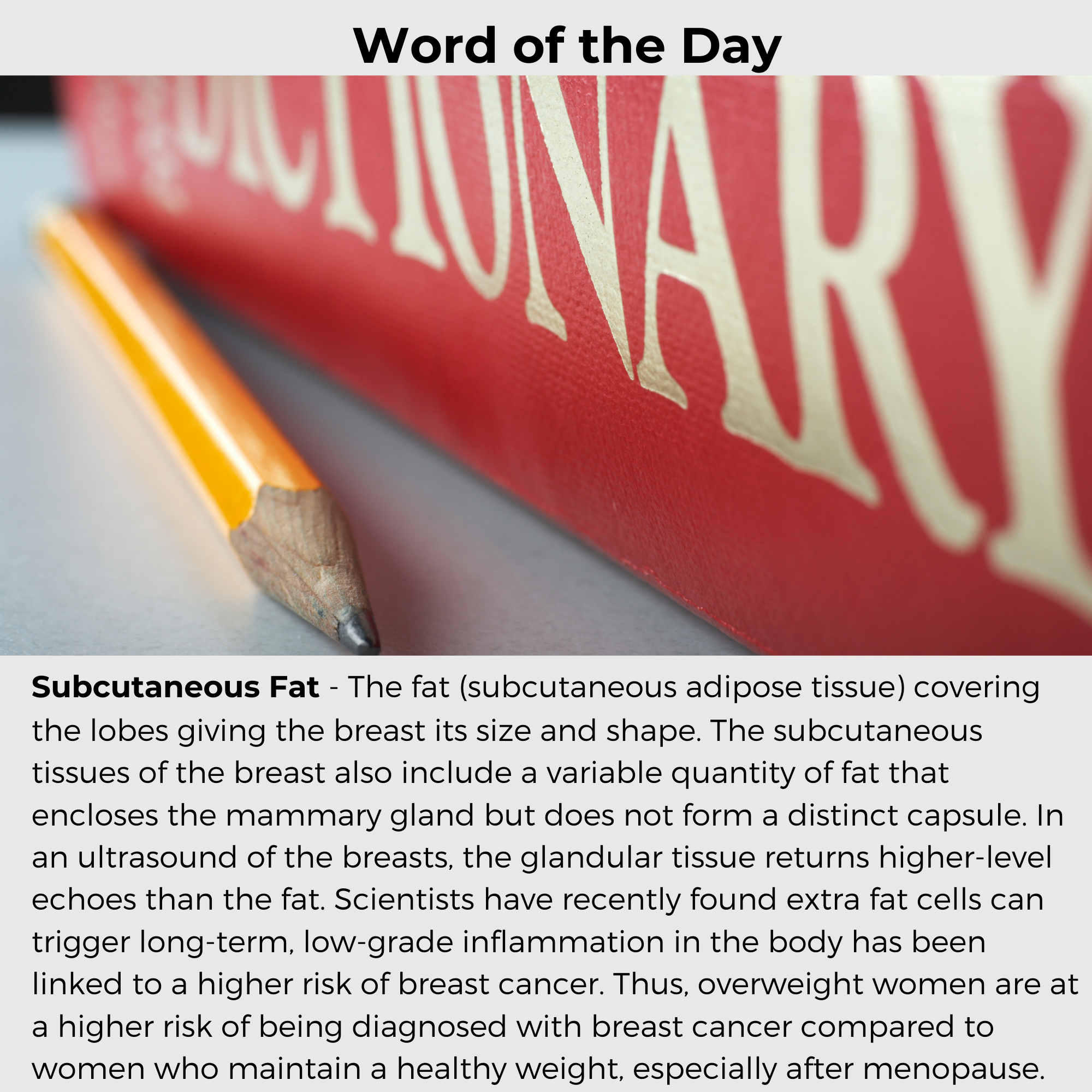 Basic Anatomy of the Breast Inhouse Help & Training