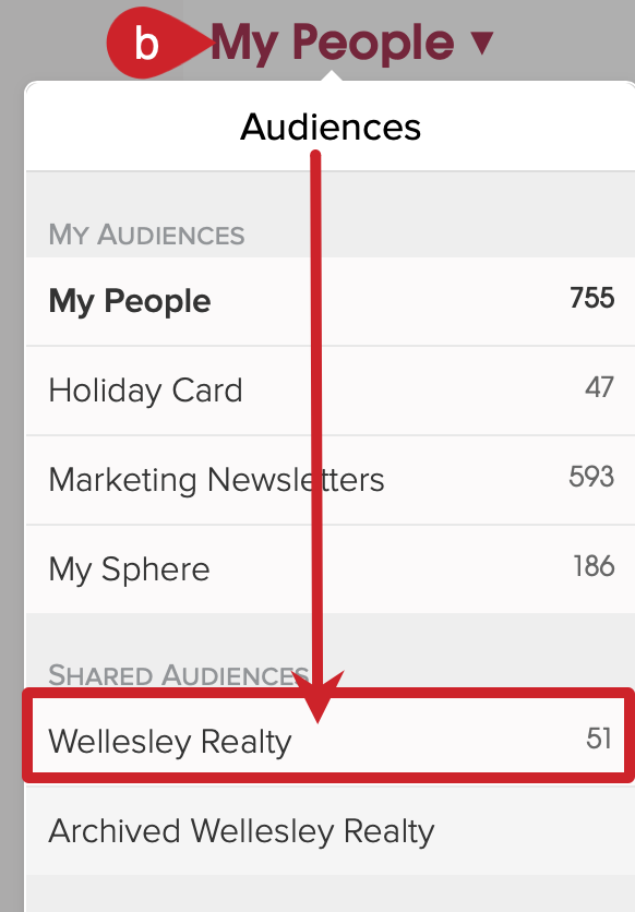 Optional: Navigate to your team audience. 