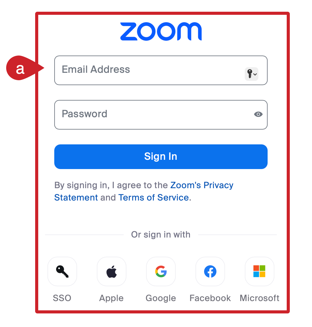 Sign in to Zoom (if you are not already signed in.)
