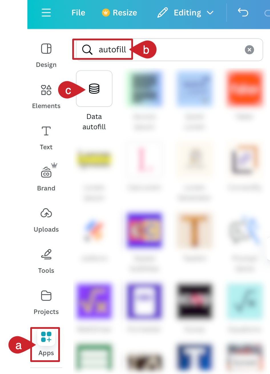 Add the Canva data autofill app..