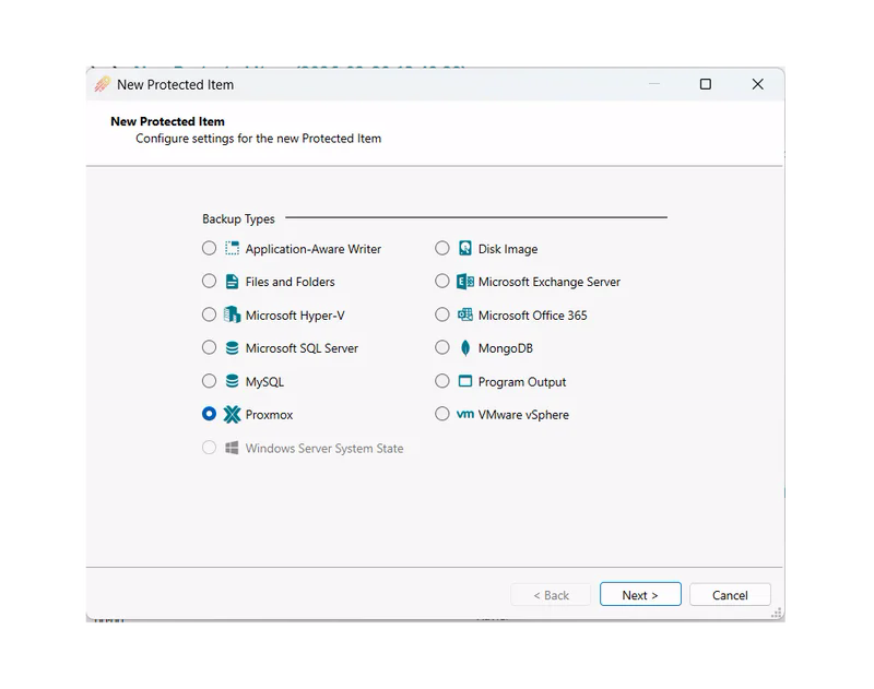 New Protected Item dialog with Proxmox selected in the Backup Types list