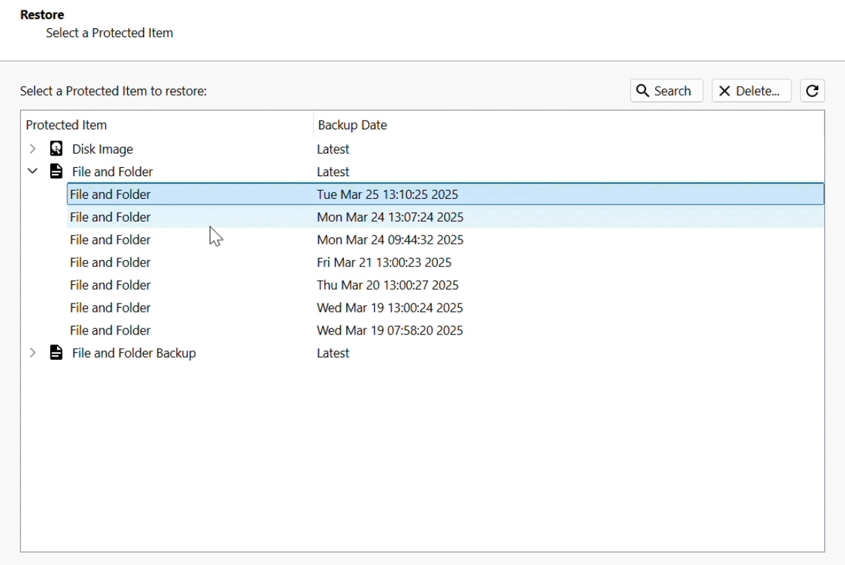 Restore wizard in the backup app showing a File and Folder Protected Item expanded into a list of snapshots by backup date