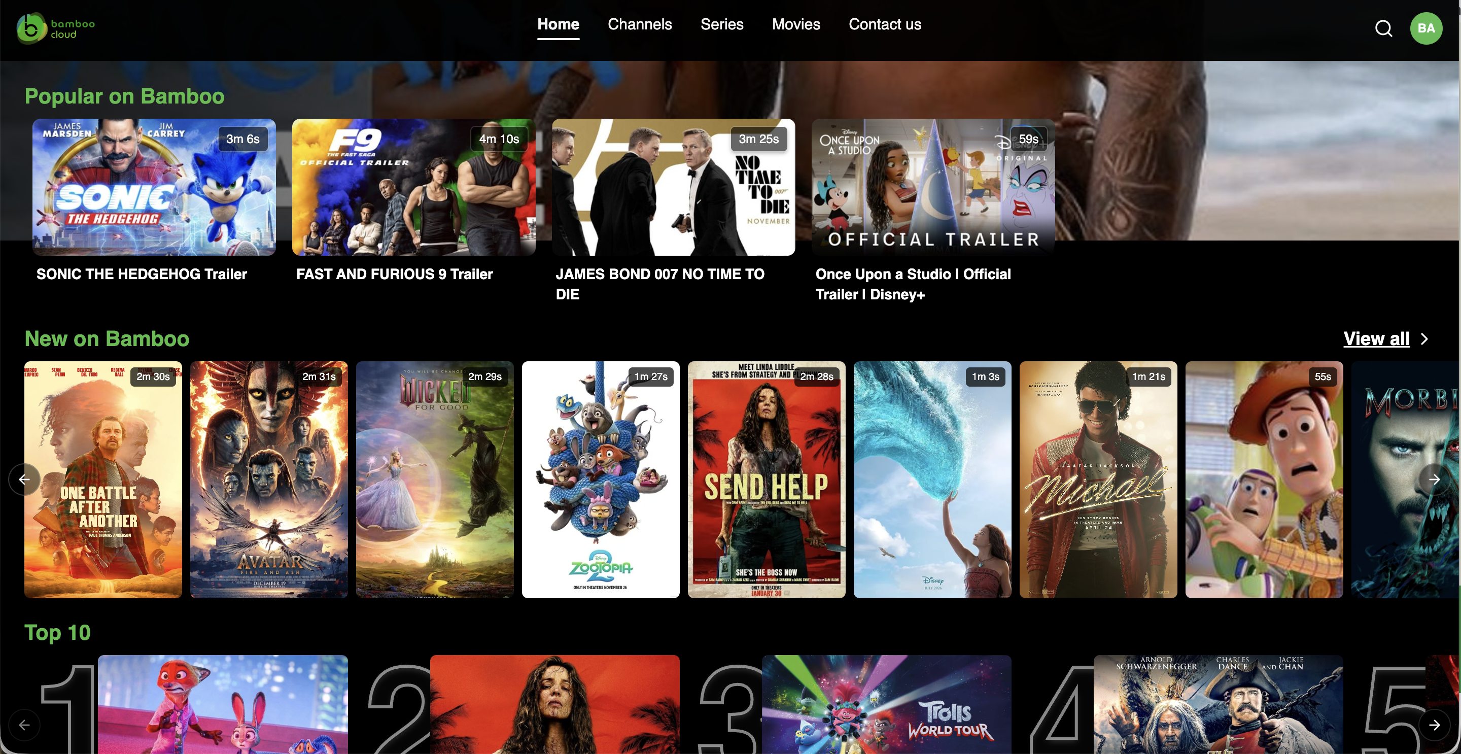 Netflix view