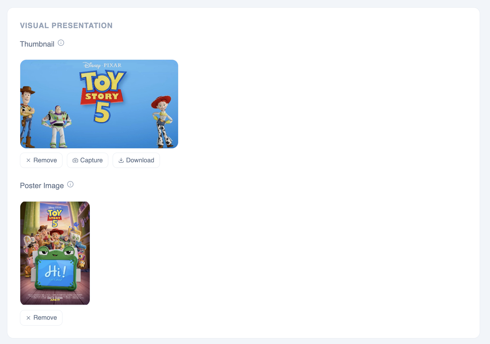Visual Presentation section