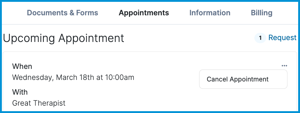 Client Portal view showing an upcoming appointment with the option to cancel the appointment.