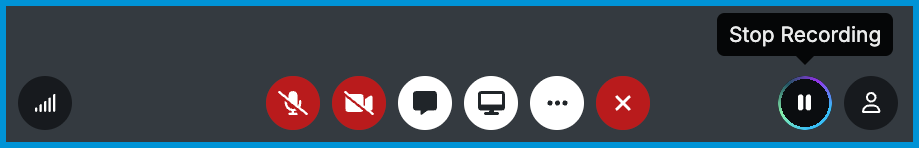 The telehealth toolbar showing a Stop Recording button indicating an active recording.