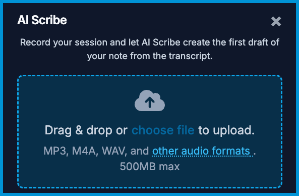 Image of the AI Scribe audio uploader where files can be selected and uploaded.