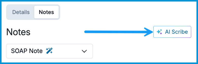 Image of the Notes section of an appointment with an arrow pointing to the AI Scribe button.