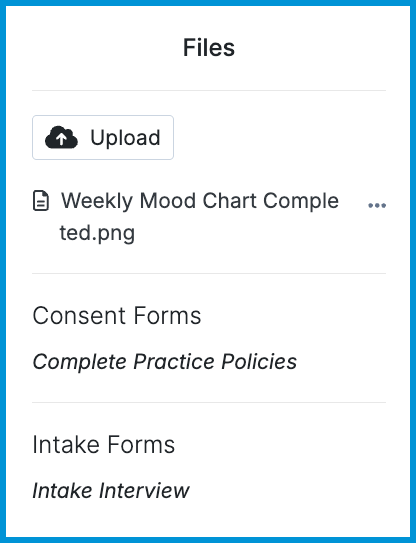 Files panel showing uploaded files, consent forms, and intake forms.