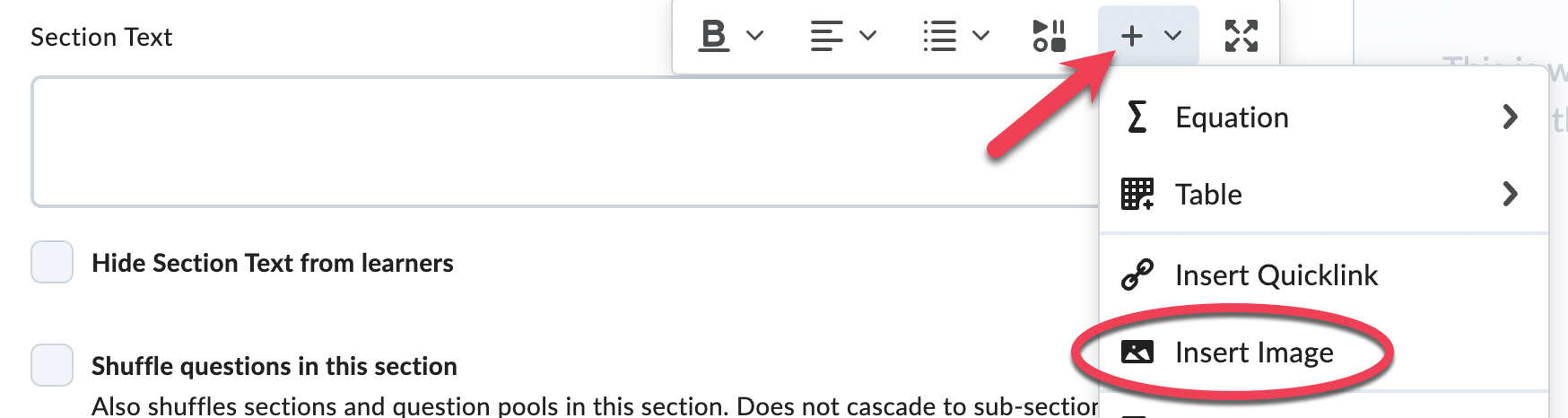Insert Other Options icon (plus sign with down caret)