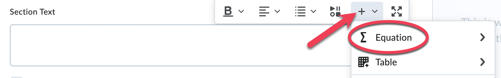 Select Equation from Insert Other Options menu