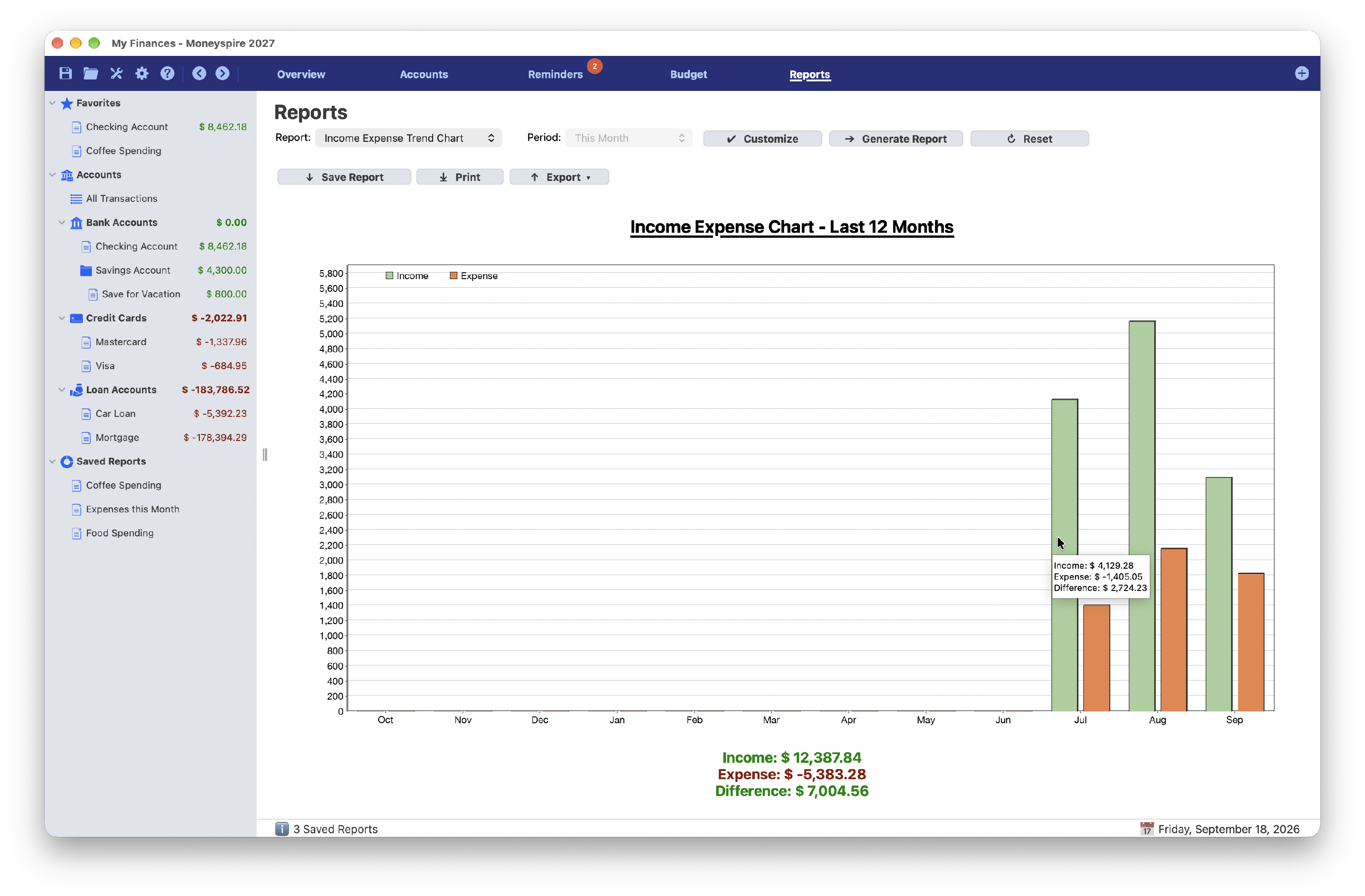 Screenshot of Income Expense Chart Report