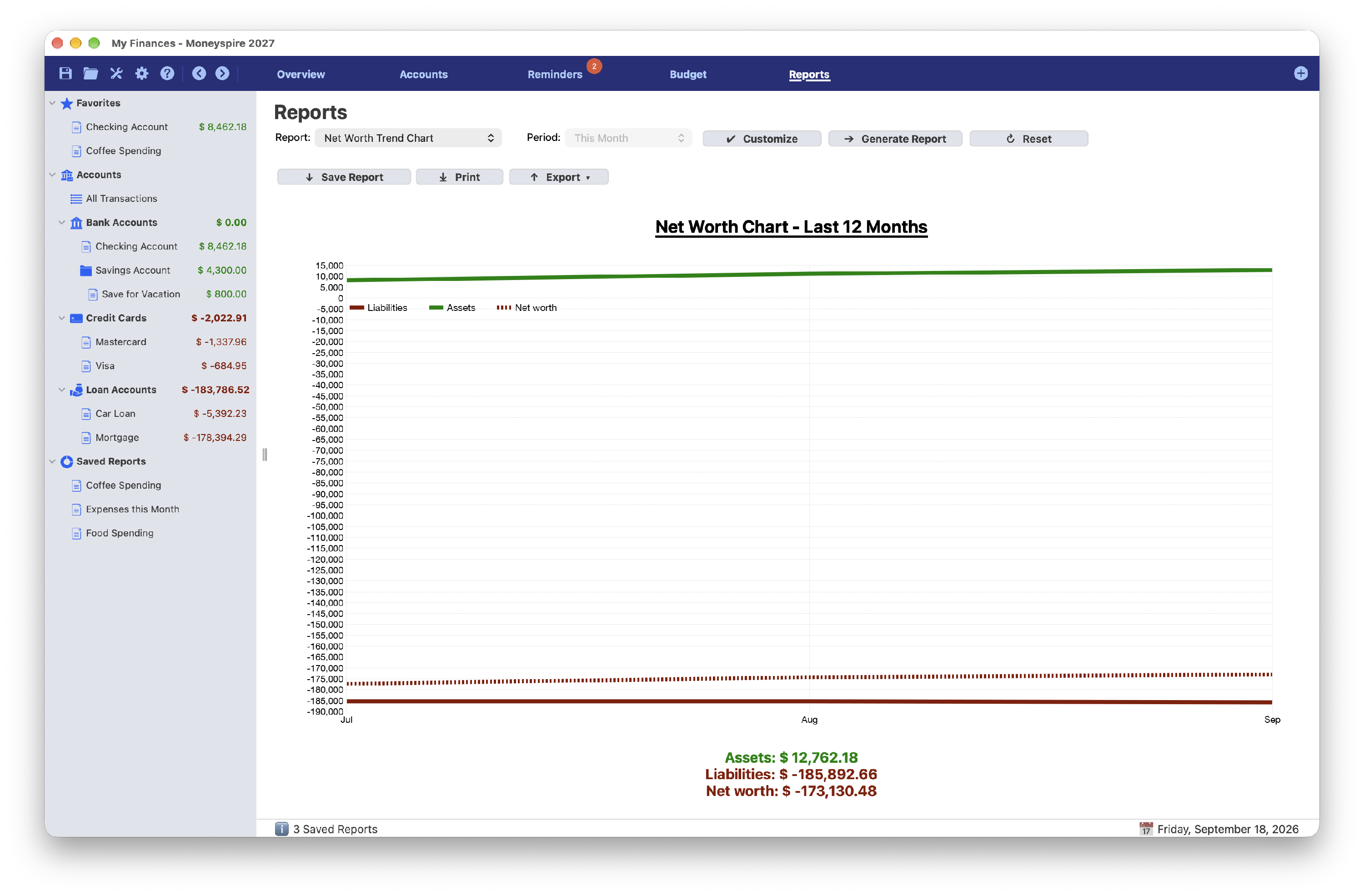 Screenshot of Net Worth Chart Report