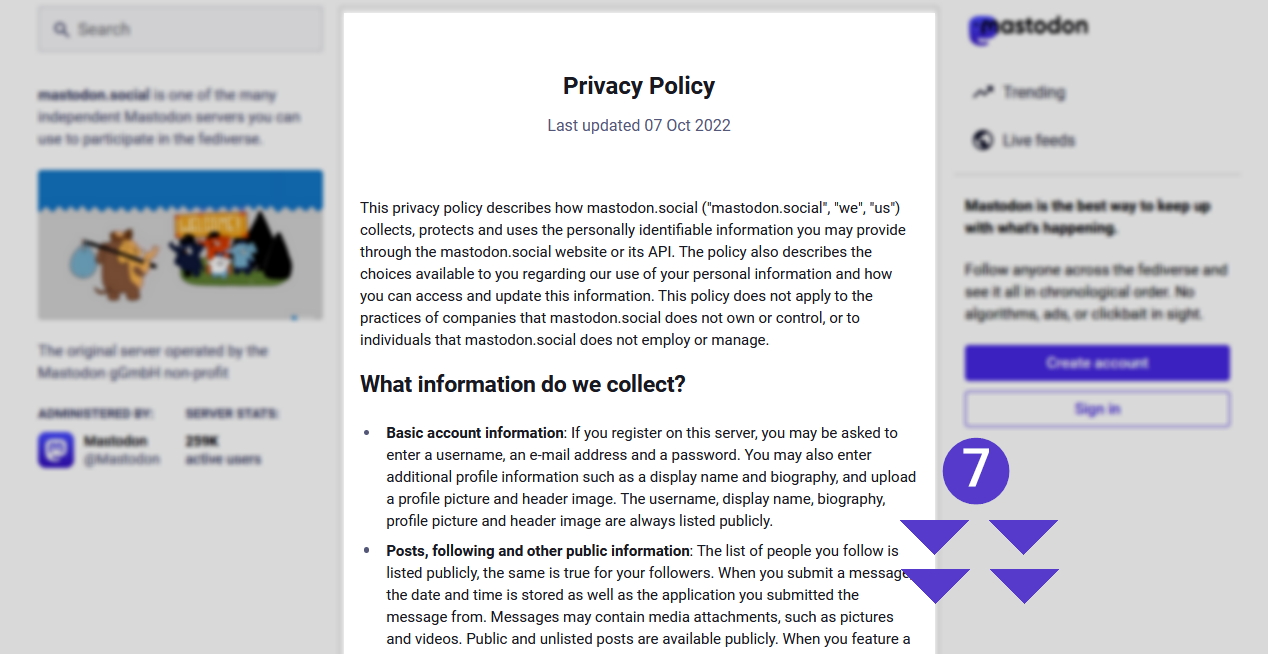 Partial image of the privacy policy.