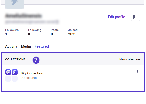 A collection featured in a profile.