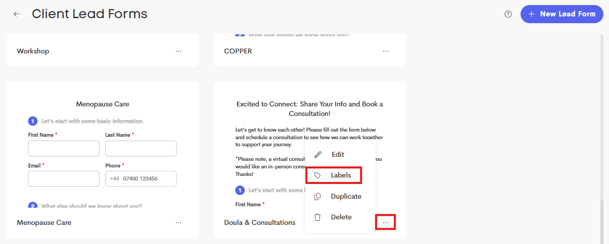 Payer Options in Lead Forms - Doulado Knowledge Base