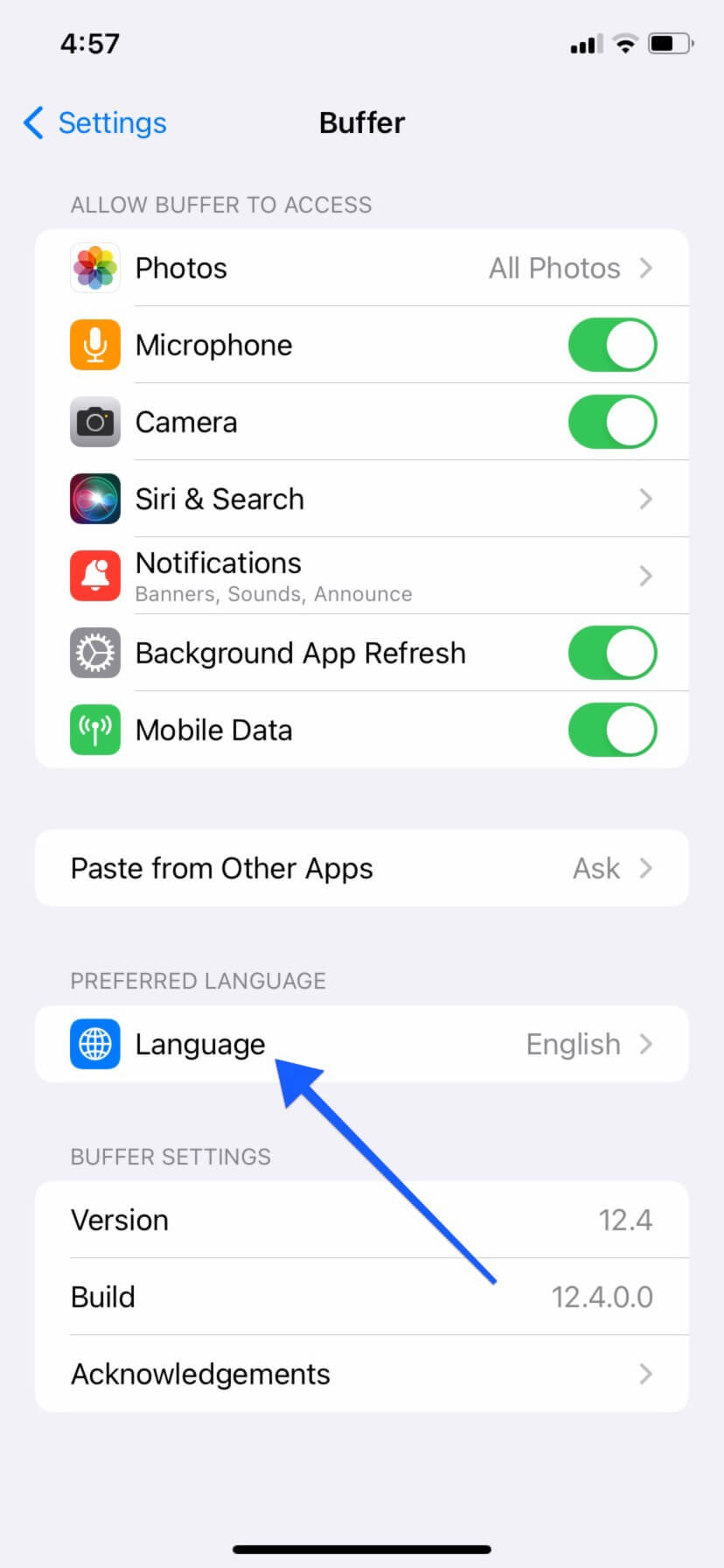 iOS language settings