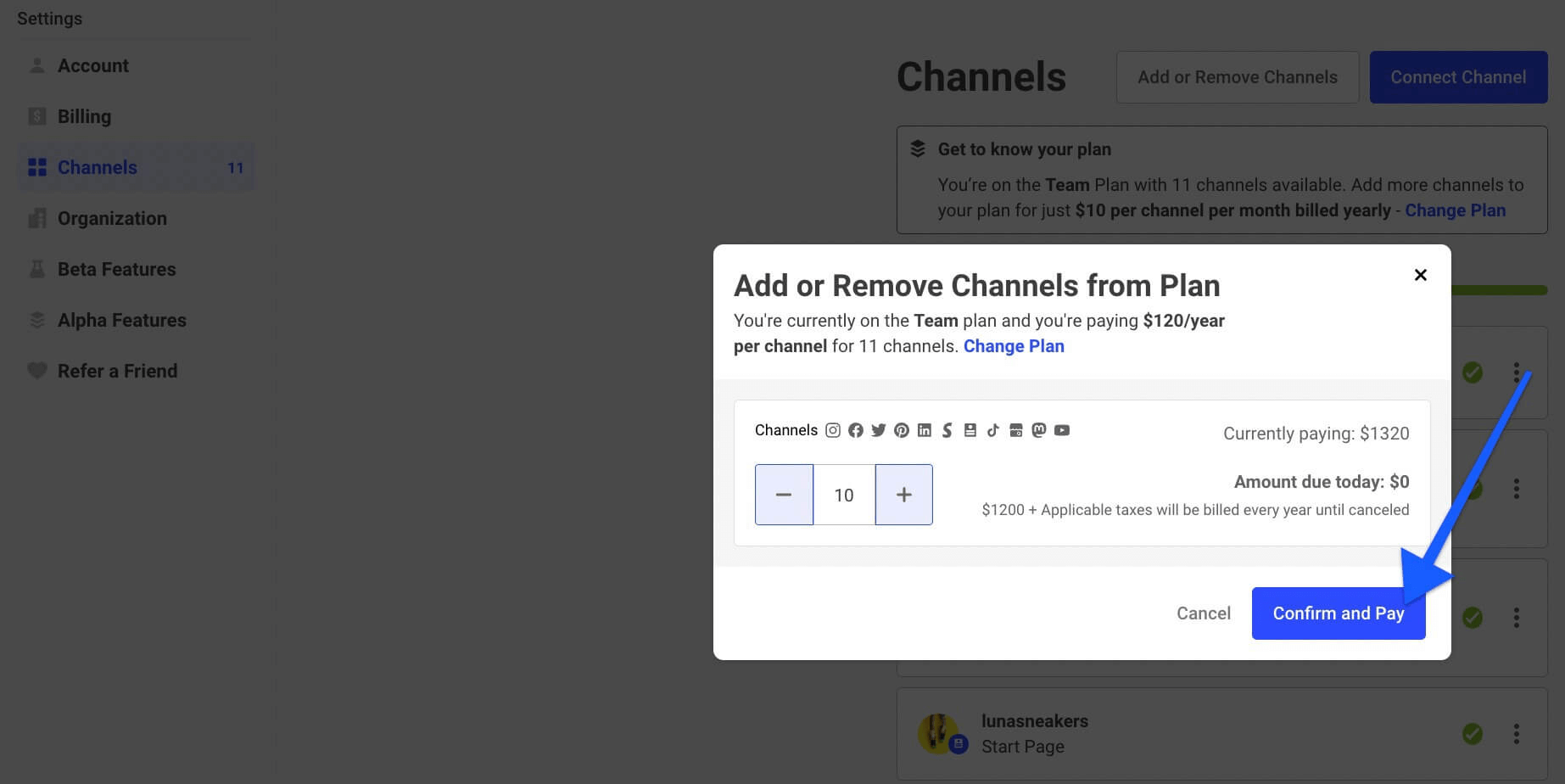 Add or Remove Channels from Plan pop-up with a blue arrow pointing to Confirm and Pay