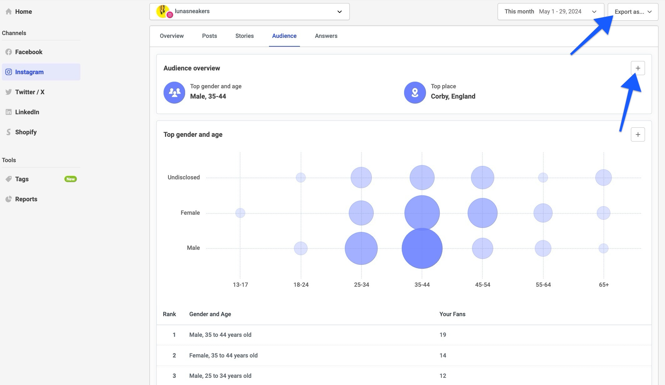 Buffer Analyze add to report and export